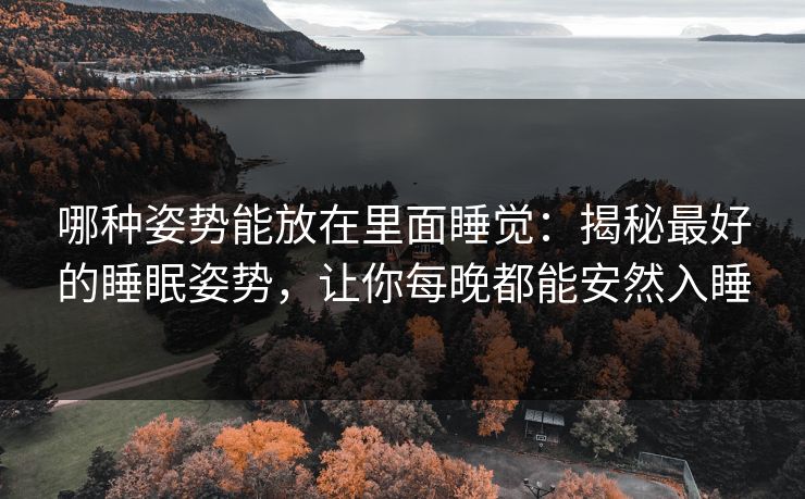 哪种姿势能放在里面睡觉：揭秘最好的睡眠姿势，让你每晚都能安然入睡