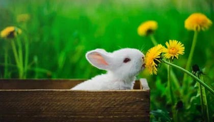 17c盘点:猛料5大爆点,业内人士上榜理由彻底令人引发联想