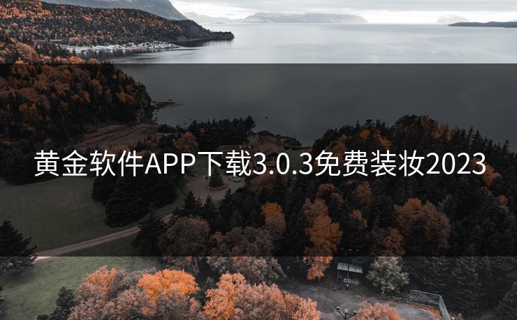 黄金软件APP下载3.0.3免费装妆2023