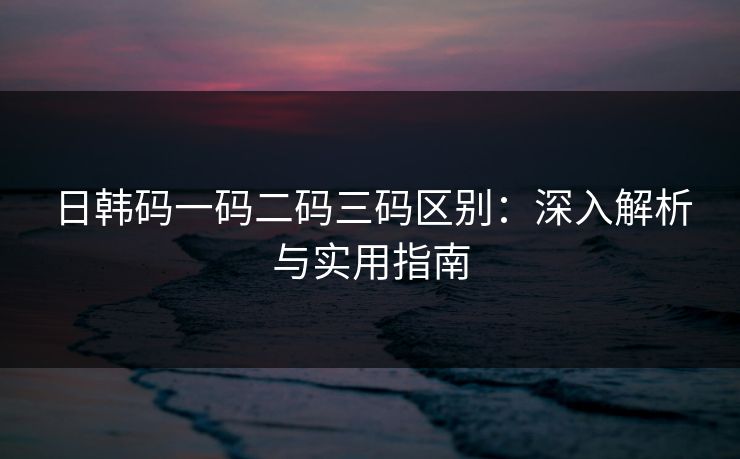 日韩码一码二码三码区别:深入解析与实用指南