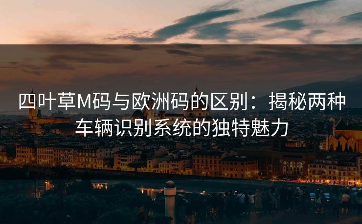 四叶草M码与欧洲码的区别：揭秘两种车辆识别系统的独特魅力