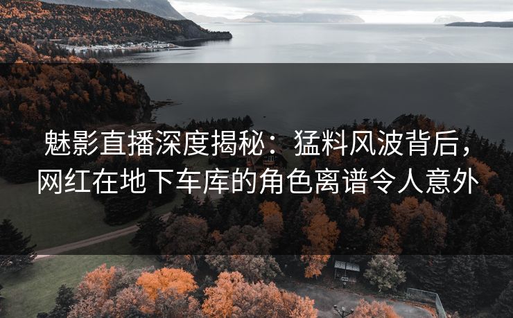魅影直播深度揭秘：猛料风波背后，网红在地下车库的角色离谱令人意外